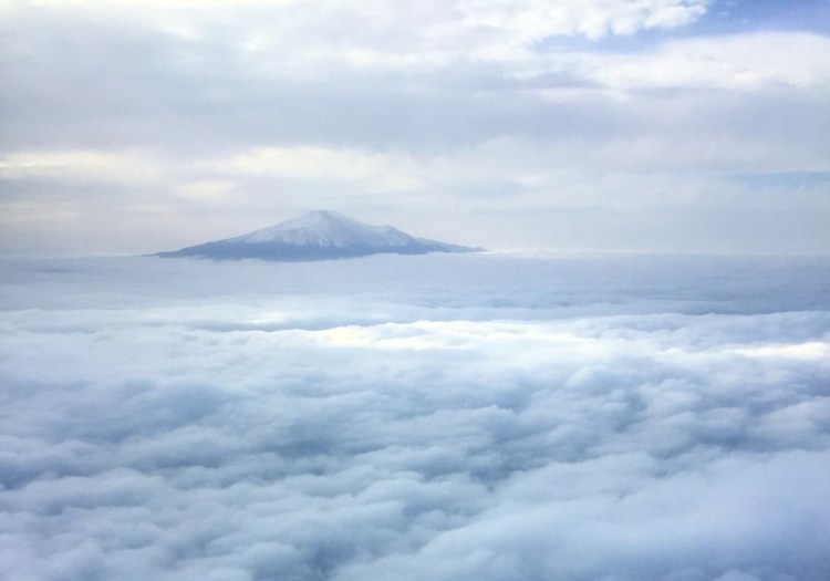 Thérapie fin de vie